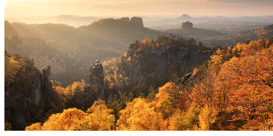 全网强志愿填报攻略来了，速收藏！